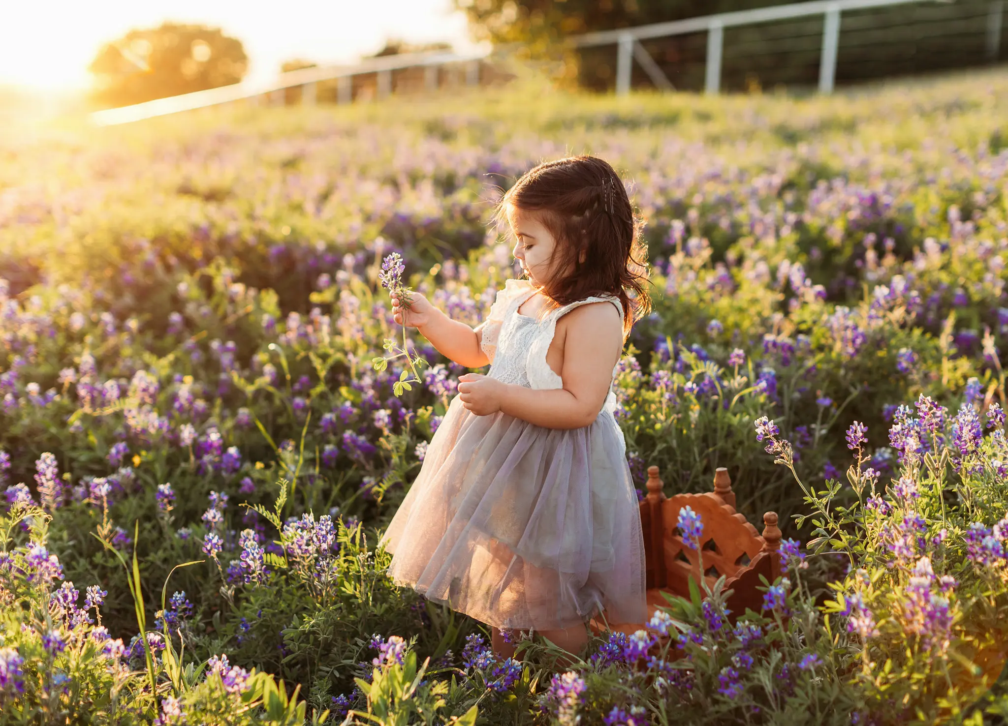 Oshey-Vargas-Photography-Bluebonnet-Mini-Sessions-Frisco-Texas-Fields-bluebonnets-sunset-kids-01_1