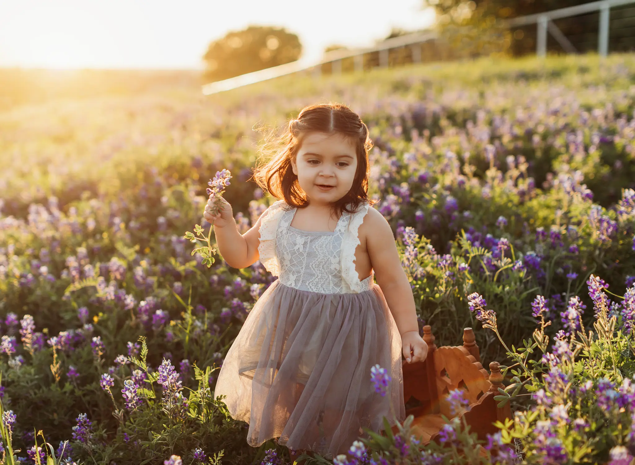 Oshey-Vargas-Photography-Bluebonnet-Mini-Sessions-Frisco-Texas-Fields-bluebonnets-sunset-kids-02_1