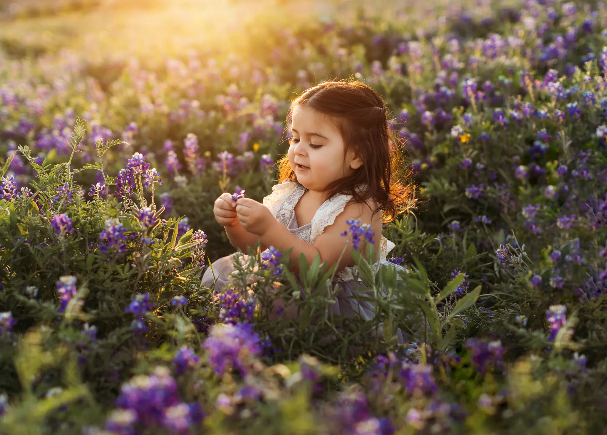 Oshey-Vargas-Photography-Bluebonnet-Mini-Sessions-Frisco-Texas-Fields-bluebonnets-sunset-kids-04_1