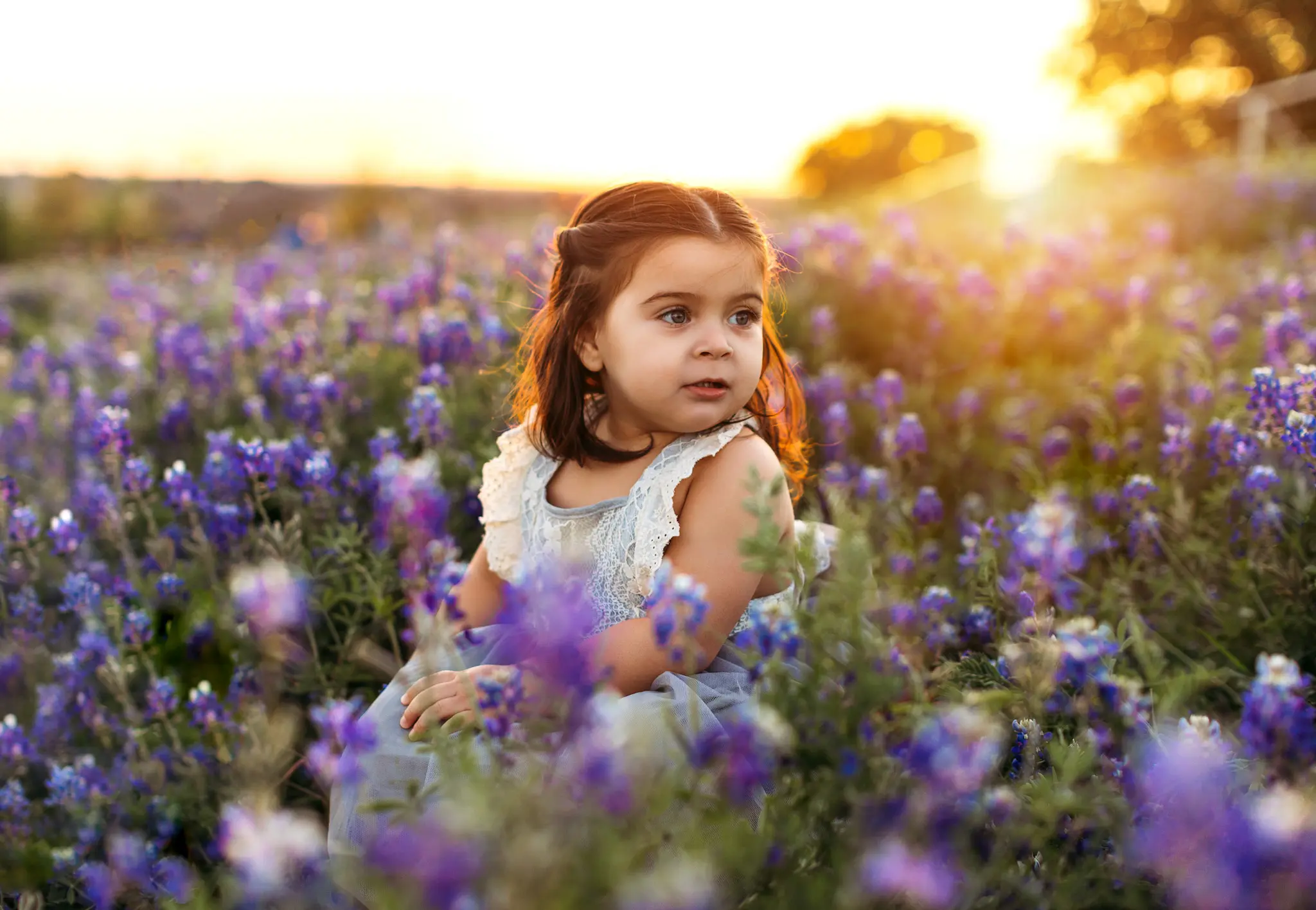 Oshey-Vargas-Photography-Bluebonnet-Mini-Sessions-Frisco-Texas-Fields-bluebonnets-sunset-kids-05_1