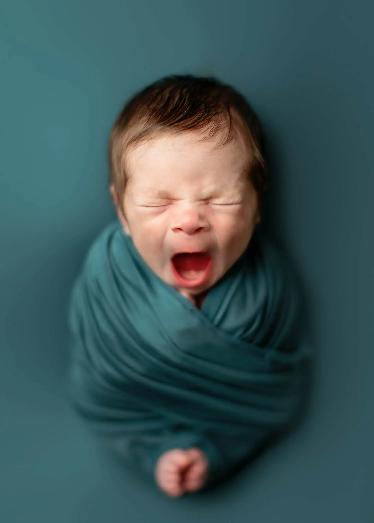 newborn photography dallas tx, dallas newborn photographer, newborn portraits dallas tx, baby photography dallas tx, infant portrits dallas tx