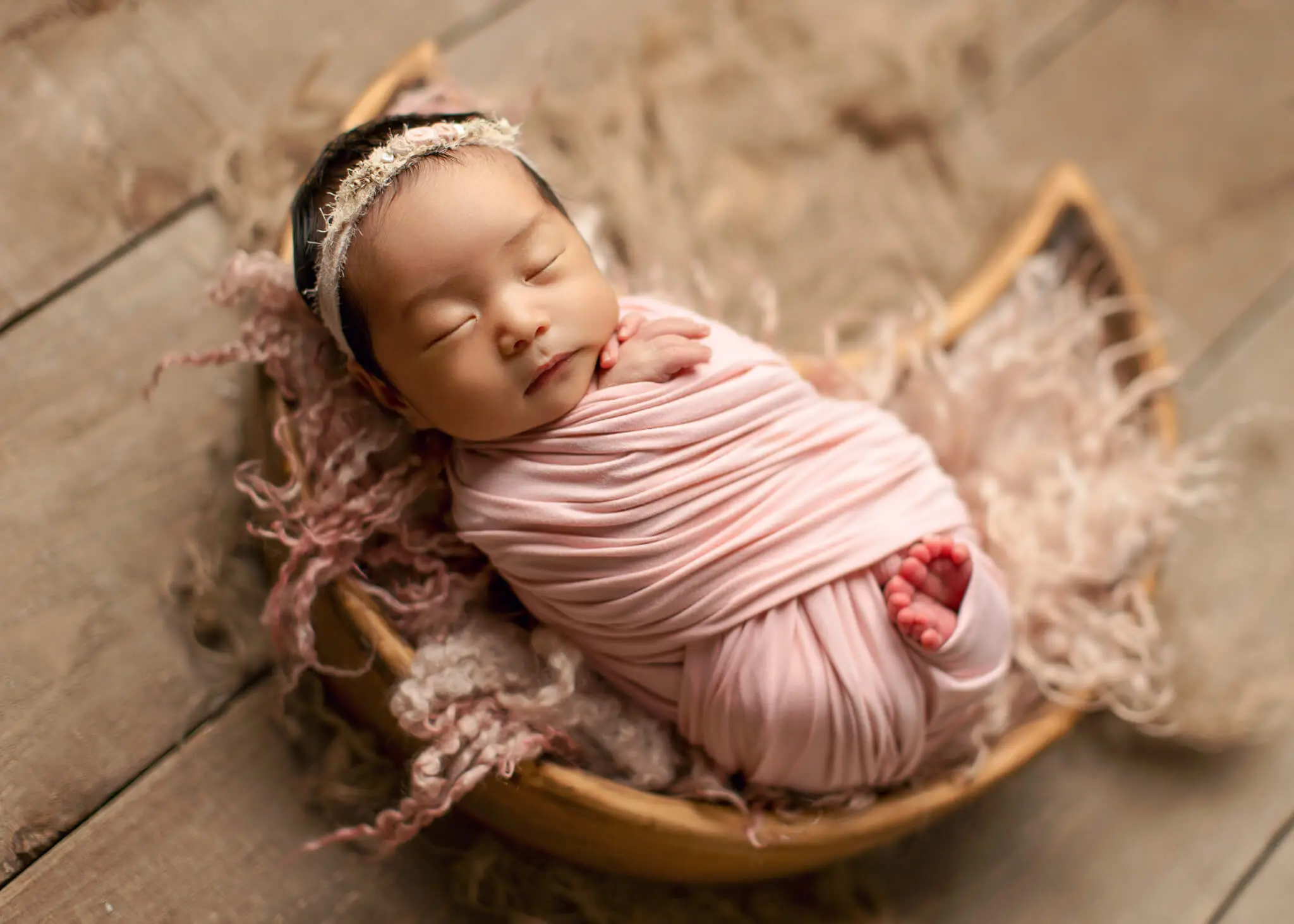 pets and babies - making the introduction, baby photography near me, baby portrait studio