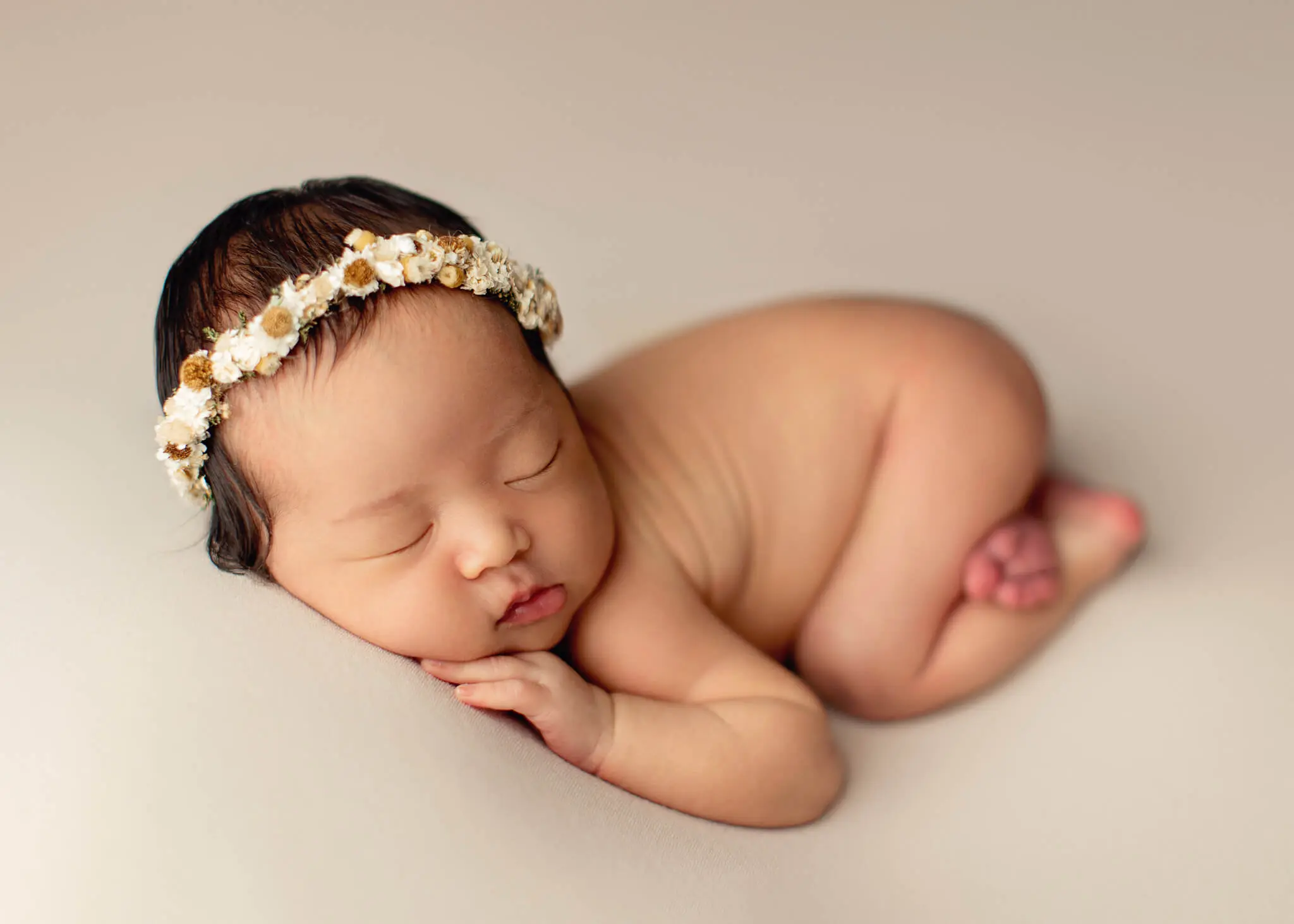 pets and babies - making the introduction, baby photography near me, baby portrait studio