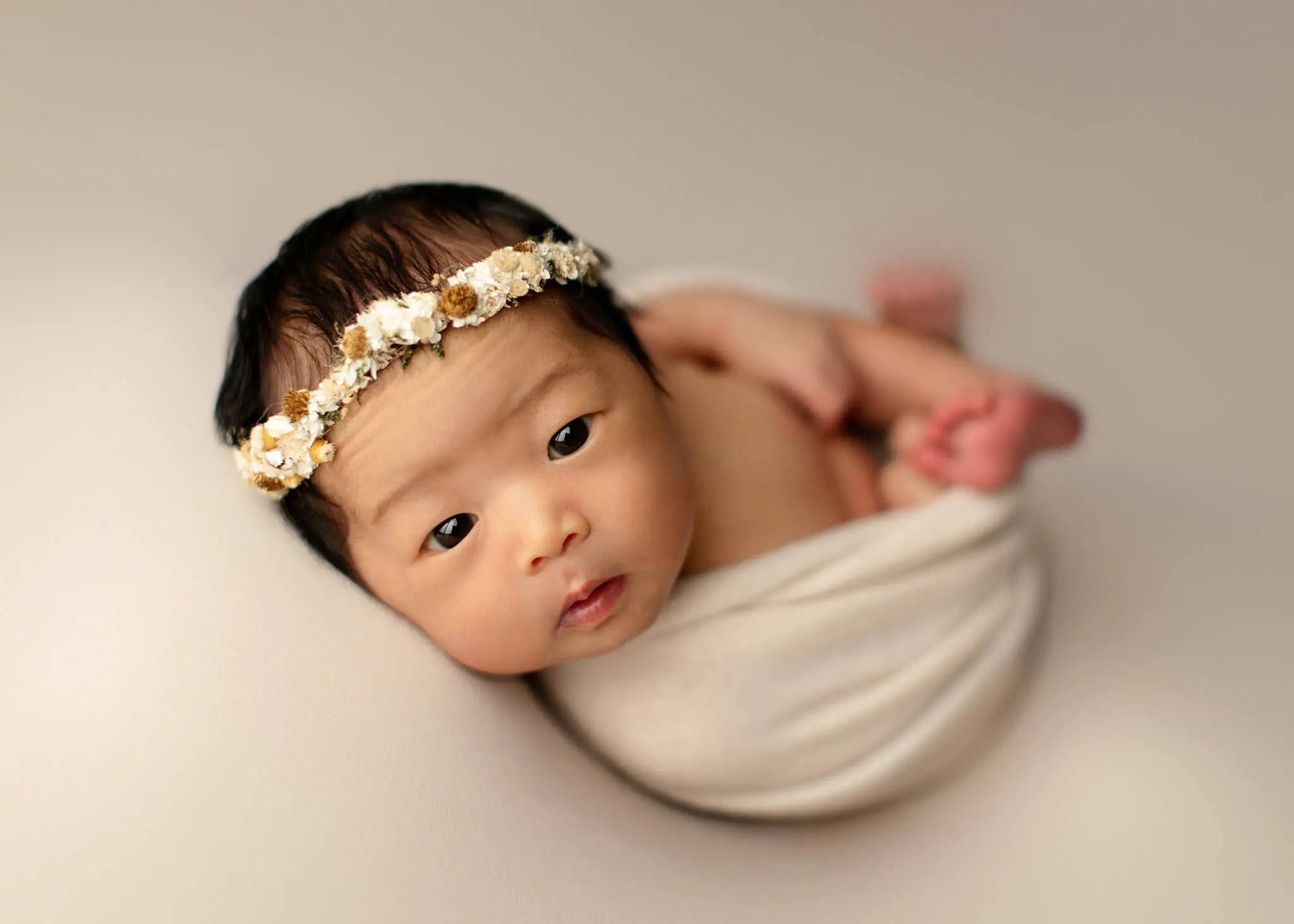pets and babies - making the introduction, baby photography near me, baby portrait studio