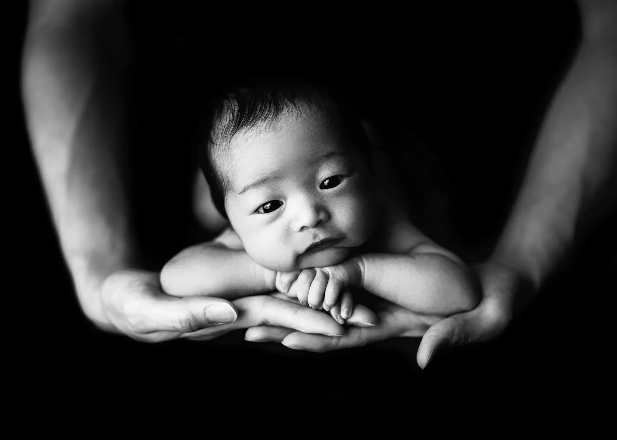 pets and babies - making the introduction, baby photography near me, baby portrait studio
